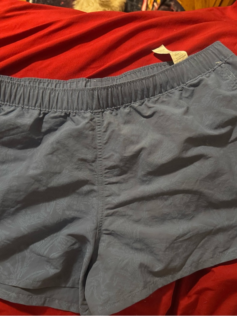 Women’s Barely Baggies Patagonia Shorts - Picture 5 of 5